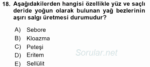 Tıbbi Terminoloji 2016 - 2017 3 Ders Sınavı 18.Soru