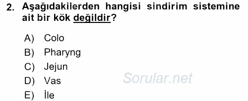 Tıbbi Terminoloji 2016 - 2017 3 Ders Sınavı 2.Soru