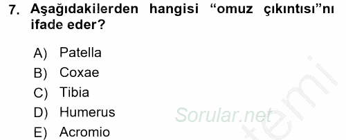 Tıbbi Terminoloji 2016 - 2017 3 Ders Sınavı 7.Soru