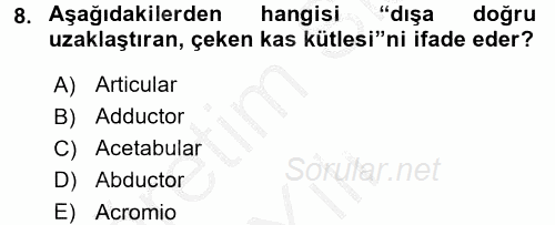 Tıbbi Terminoloji 2016 - 2017 3 Ders Sınavı 8.Soru