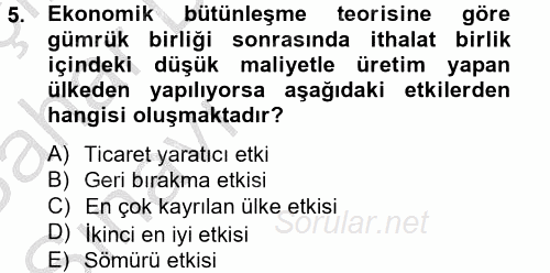 Uluslararası Ekonomik Kuruluşlar 2012 - 2013 Ara Sınavı 5.Soru