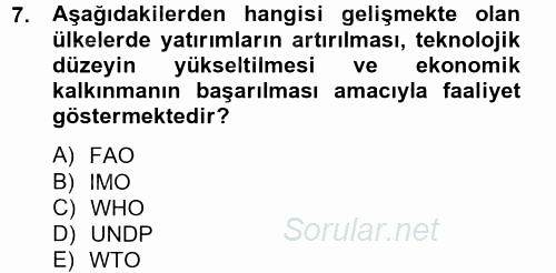 Uluslararası Ekonomik Kuruluşlar 2012 - 2013 Ara Sınavı 7.Soru