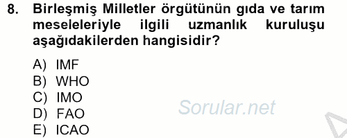 Uluslararası Ekonomik Kuruluşlar 2012 - 2013 Ara Sınavı 8.Soru