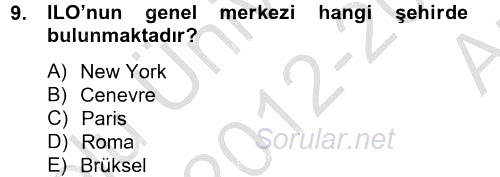 Uluslararası Ekonomik Kuruluşlar 2012 - 2013 Ara Sınavı 9.Soru