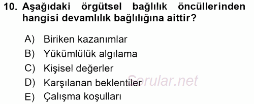 Organizasyonlarda Davranış 2016 - 2017 Ara Sınavı 10.Soru