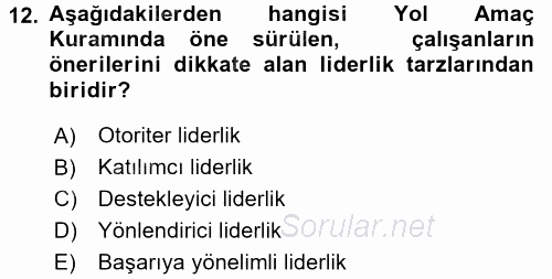Organizasyonlarda Davranış 2016 - 2017 Ara Sınavı 12.Soru