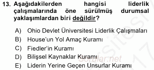 Organizasyonlarda Davranış 2016 - 2017 Ara Sınavı 13.Soru