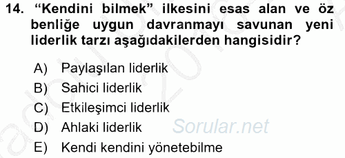 Organizasyonlarda Davranış 2016 - 2017 Ara Sınavı 14.Soru