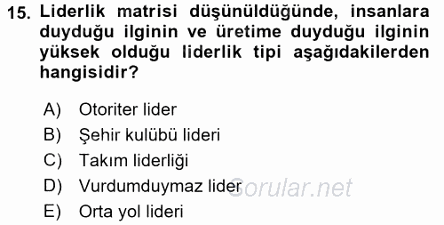 Organizasyonlarda Davranış 2016 - 2017 Ara Sınavı 15.Soru