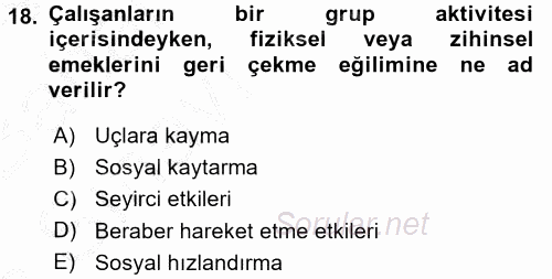 Organizasyonlarda Davranış 2016 - 2017 Ara Sınavı 18.Soru
