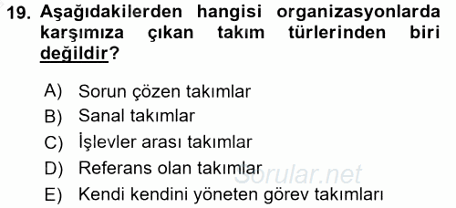 Organizasyonlarda Davranış 2016 - 2017 Ara Sınavı 19.Soru