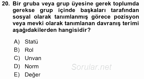 Organizasyonlarda Davranış 2016 - 2017 Ara Sınavı 20.Soru