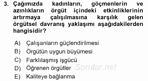 Organizasyonlarda Davranış 2016 - 2017 Ara Sınavı 3.Soru