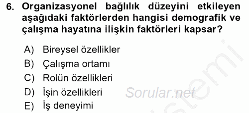 Organizasyonlarda Davranış 2016 - 2017 Ara Sınavı 6.Soru