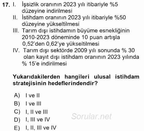 İstihdam ve İşsizlik 2016 - 2017 Dönem Sonu Sınavı 17.Soru