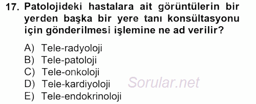Sağlık Kurumlarında Bilgi Sistemleri 2013 - 2014 Tek Ders Sınavı 17.Soru