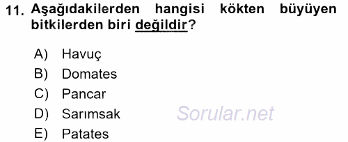 Okulöncesinde Fen Eğitimi 2017 - 2018 Dönem Sonu Sınavı 11.Soru