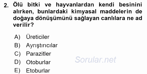 Okulöncesinde Fen Eğitimi 2017 - 2018 Dönem Sonu Sınavı 2.Soru