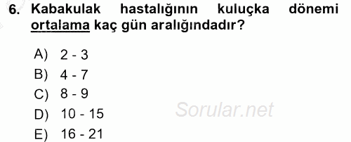 Hasta Çocukların Gelişimi Ve Eğitimi 2016 - 2017 Ara Sınavı 6.Soru