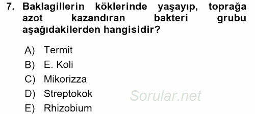 Toprak Bilgisi ve Bitki Besleme 2017 - 2018 Ara Sınavı 7.Soru