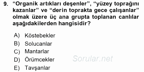 Toprak Bilgisi ve Bitki Besleme 2017 - 2018 Ara Sınavı 9.Soru
