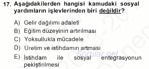 Sosyal Hizmet Kuruluşları 2013 - 2014 Dönem Sonu Sınavı 17.Soru