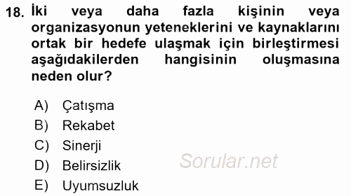 Stratejik Yönetim 1 2015 - 2016 Tek Ders Sınavı 18.Soru