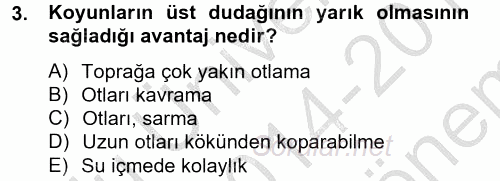 Hayvan Davranışları ve Refahı 2014 - 2015 Dönem Sonu Sınavı 3.Soru