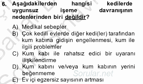 Hayvan Davranışları ve Refahı 2014 - 2015 Dönem Sonu Sınavı 6.Soru