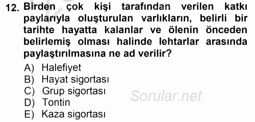 Hayat Sigortaları Ve Bireysel Emeklilik Sistemi 2012 - 2013 Ara Sınavı 12.Soru