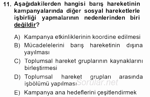 Yeni Toplumsal Hareketler 2013 - 2014 Dönem Sonu Sınavı 11.Soru