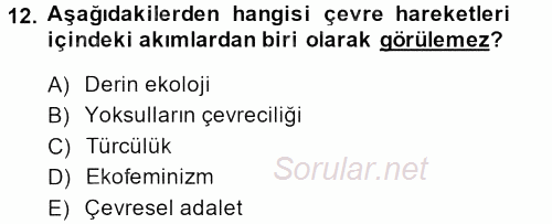 Yeni Toplumsal Hareketler 2013 - 2014 Dönem Sonu Sınavı 12.Soru