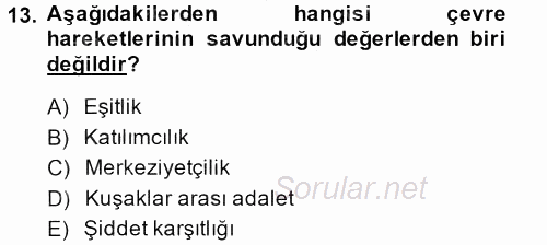 Yeni Toplumsal Hareketler 2013 - 2014 Dönem Sonu Sınavı 13.Soru
