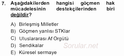 Yeni Toplumsal Hareketler 2013 - 2014 Dönem Sonu Sınavı 7.Soru