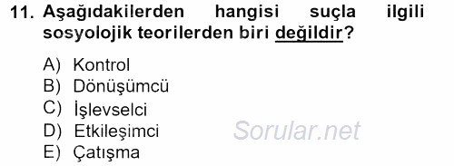 Sosyal Sorunlar 2012 - 2013 Dönem Sonu Sınavı 11.Soru