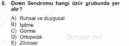 Sosyal Sorunlar 2012 - 2013 Dönem Sonu Sınavı 8.Soru