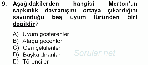 Sosyal Sorunlar 2012 - 2013 Dönem Sonu Sınavı 9.Soru