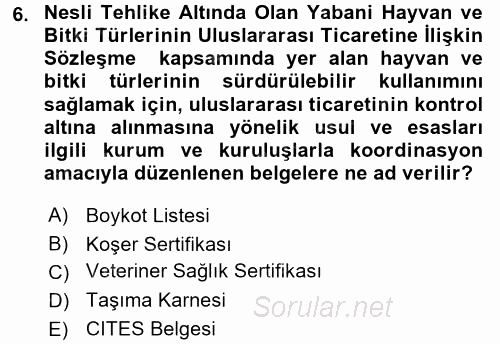 Dış Ticaret İşlemleri ve Belgeleri 2017 - 2018 Ara Sınavı 6.Soru