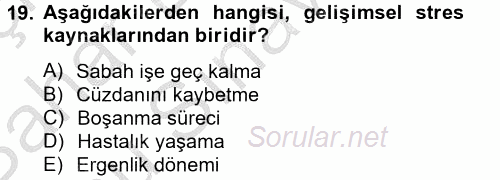 Çatışma ve Stres Yönetimi 2 2012 - 2013 Dönem Sonu Sınavı 19.Soru