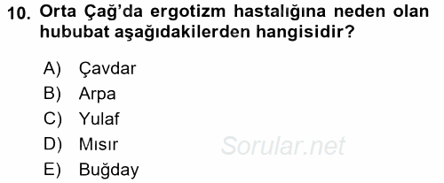 Orta Çağ-Yeni Çağ Avrupa Tarihi 2017 - 2018 Ara Sınavı 10.Soru