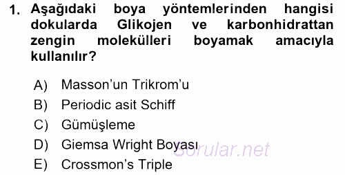 Temel Veteriner Histoloji ve Embriyoloji 2016 - 2017 Ara Sınavı 1.Soru