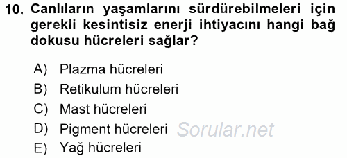 Temel Veteriner Histoloji ve Embriyoloji 2016 - 2017 Ara Sınavı 10.Soru