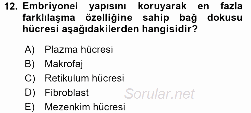 Temel Veteriner Histoloji ve Embriyoloji 2016 - 2017 Ara Sınavı 12.Soru