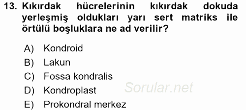 Temel Veteriner Histoloji ve Embriyoloji 2016 - 2017 Ara Sınavı 13.Soru