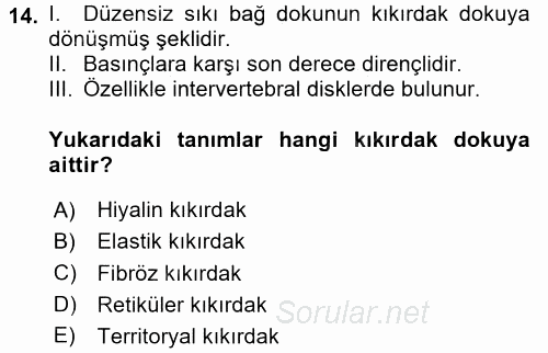Temel Veteriner Histoloji ve Embriyoloji 2016 - 2017 Ara Sınavı 14.Soru