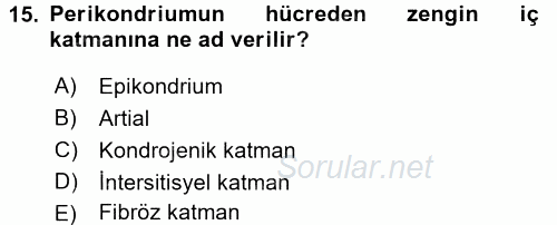 Temel Veteriner Histoloji ve Embriyoloji 2016 - 2017 Ara Sınavı 15.Soru