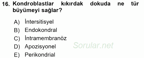 Temel Veteriner Histoloji ve Embriyoloji 2016 - 2017 Ara Sınavı 16.Soru