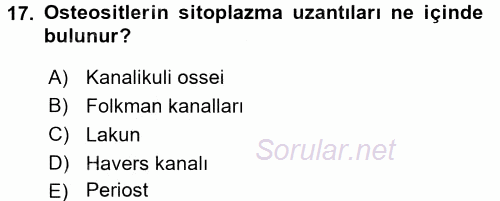 Temel Veteriner Histoloji ve Embriyoloji 2016 - 2017 Ara Sınavı 17.Soru