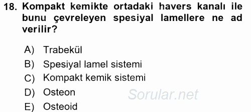 Temel Veteriner Histoloji ve Embriyoloji 2016 - 2017 Ara Sınavı 18.Soru