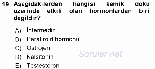 Temel Veteriner Histoloji ve Embriyoloji 2016 - 2017 Ara Sınavı 19.Soru